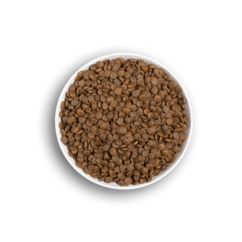 Croquettes chats sterilises dinde 3kg -purina one